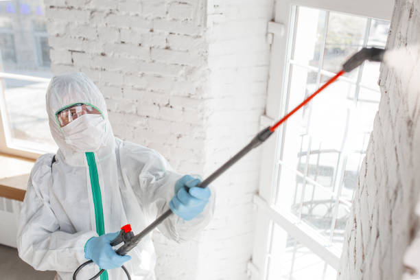 Mold Remediation for Vacation Homes in Bryson City, NC