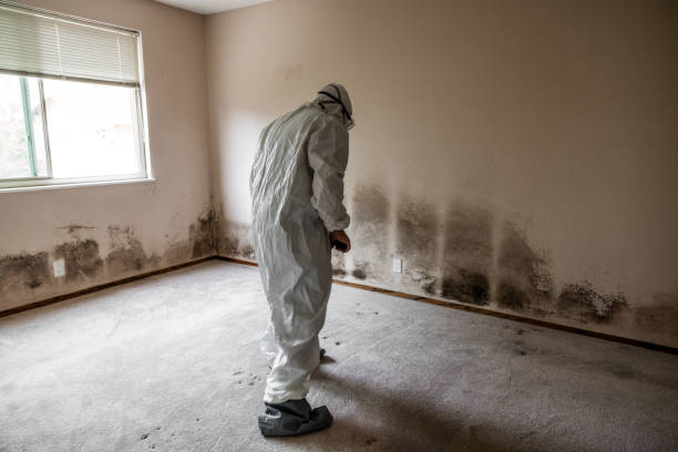 Mold Remediation for Rental Properties in Bryson City, NC